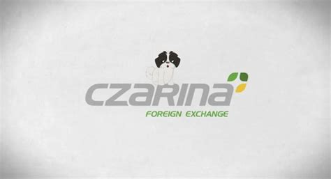 kabayan money changer fairview terraces|CZARINA Foreign Exchange Branches in Metro Manila.